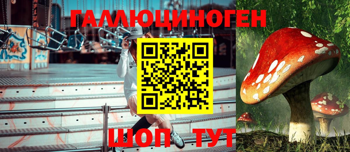 наркотики  Вход с VPN  Королёв  Псилоцибиновые грибы ЛСД 