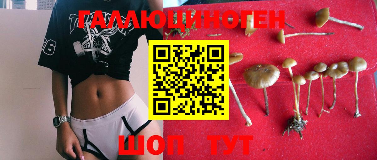 APVP СК кристаллы  Королёв  Вход с VPN  Каннабис  COCAIN  Гашиш  ЭКСТАЗИ  Где купить наркотики?  Меф МЯУ МЯУ   ГАШИШ 